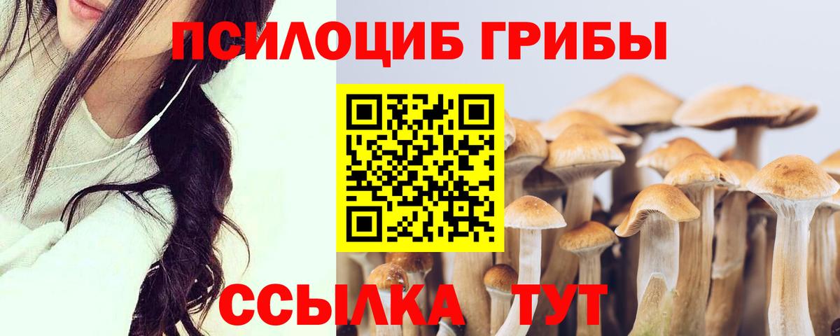 Брянск  Галлюциногенные грибы Psilocybe  Галлюциногенные грибы GOLDEN TEACHER  Вход с VPN 