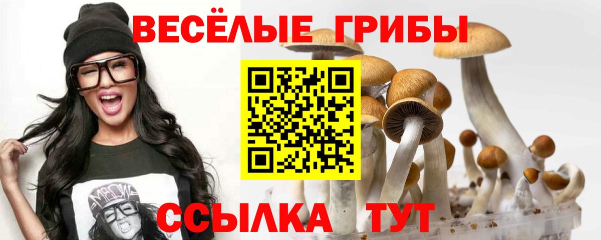 Псилоцибиновые грибы мицелий Брянск